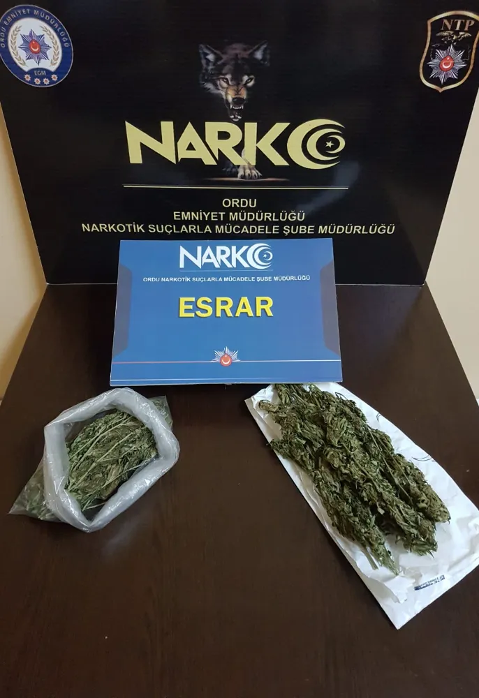 ÇOK SAYIDA UYUŞTURUCU ELE GEÇİRİLDİ