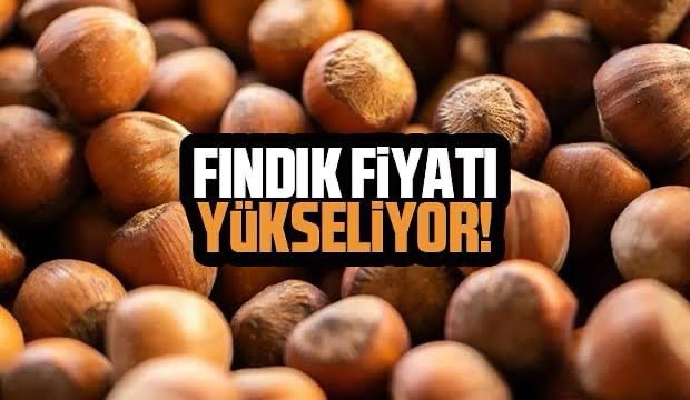 Fındık