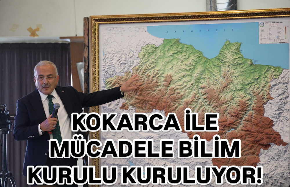 KOKARCA İÇİN NİLİM KURULU KURULUYOR! 