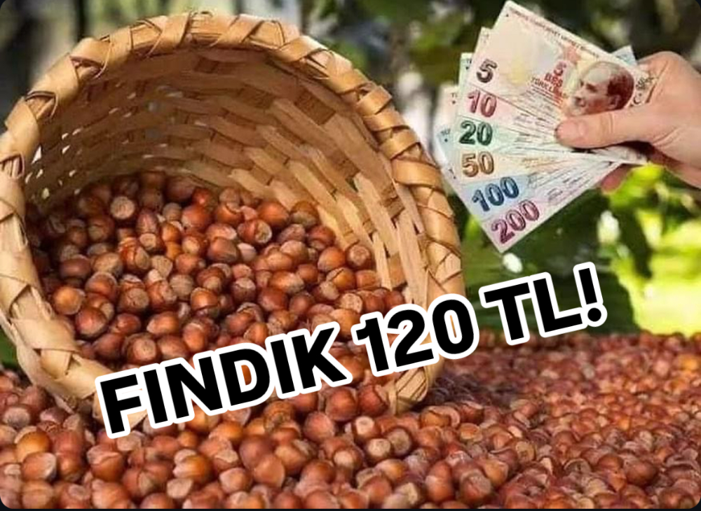FINDIK 120 TL! 
