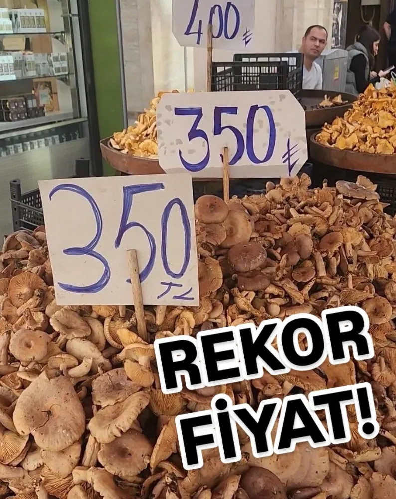 TİRMİT FİYATLARI REKOR KIRDI! 
