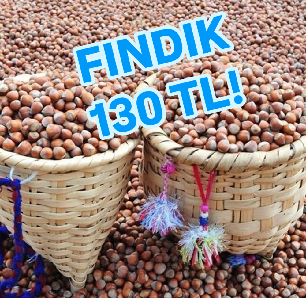 FINDIK FİYATINDA REKOR ARTIŞ!