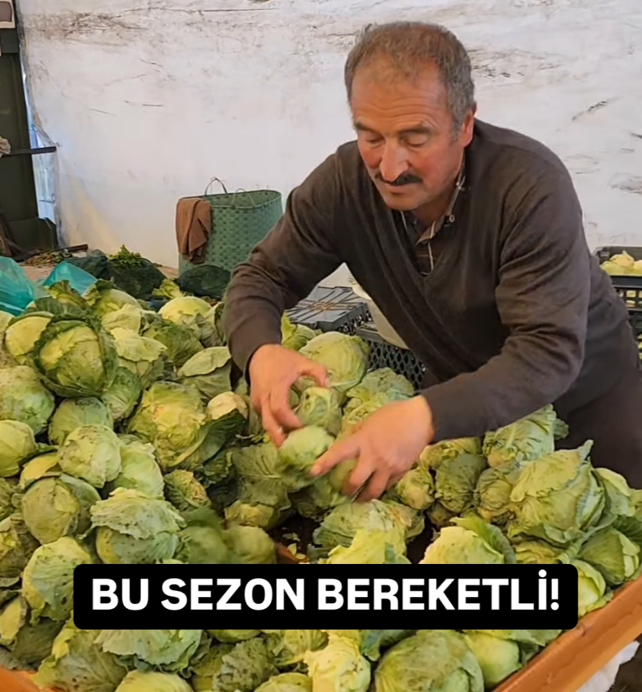 YAYLA PANCARI BEREKETİ… 