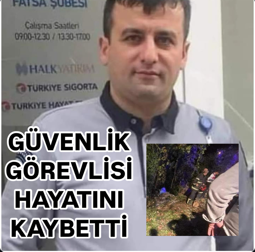 OTOMOBİLE DÜŞEN KÜTÜKLER CAN ALDI 