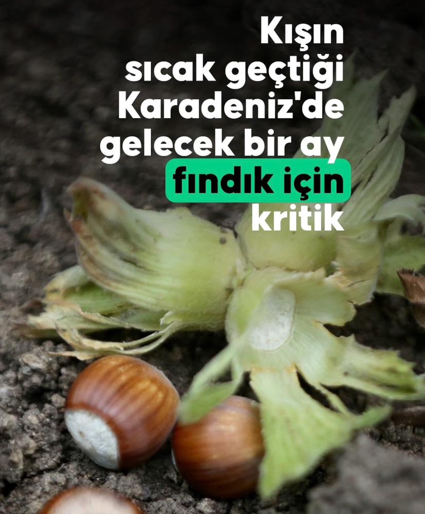 FINDIĞI ZOR GÜNLER BEKLİYOR! 