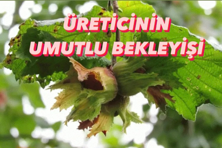 ÜRETİCİNİN UMUTLU BEKLEYİŞİ 
