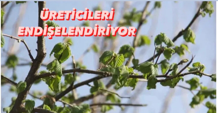 ÜRETİCİLERİ ENDİŞELENDİRİYOR