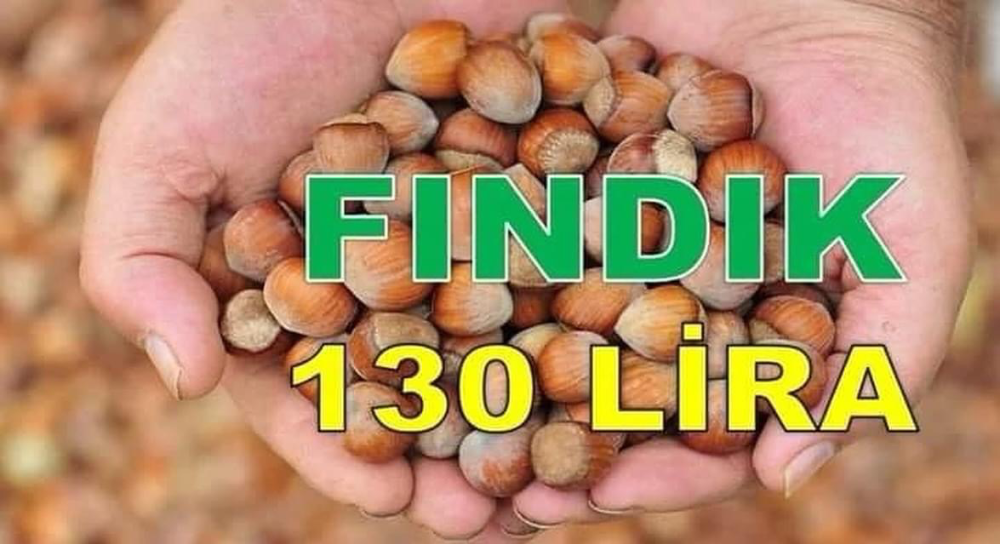 FINDIK 130 TL’Yİ GÖRDÜ!
