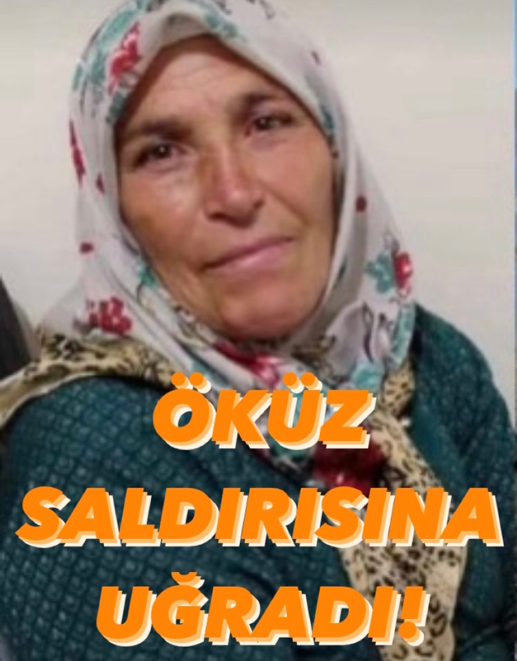 HAYVANLARA YEM VERMEYE GİTTİ, HAYATINI KAYBETTİ! 