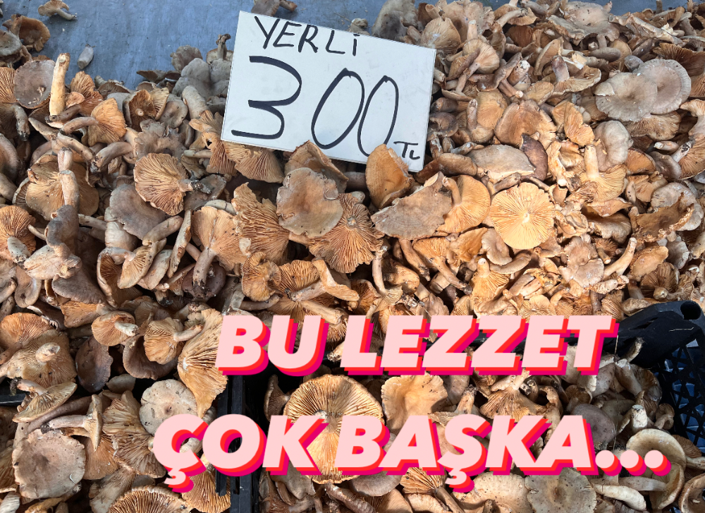 BU LEZZET ÇOK BAŞKA! 