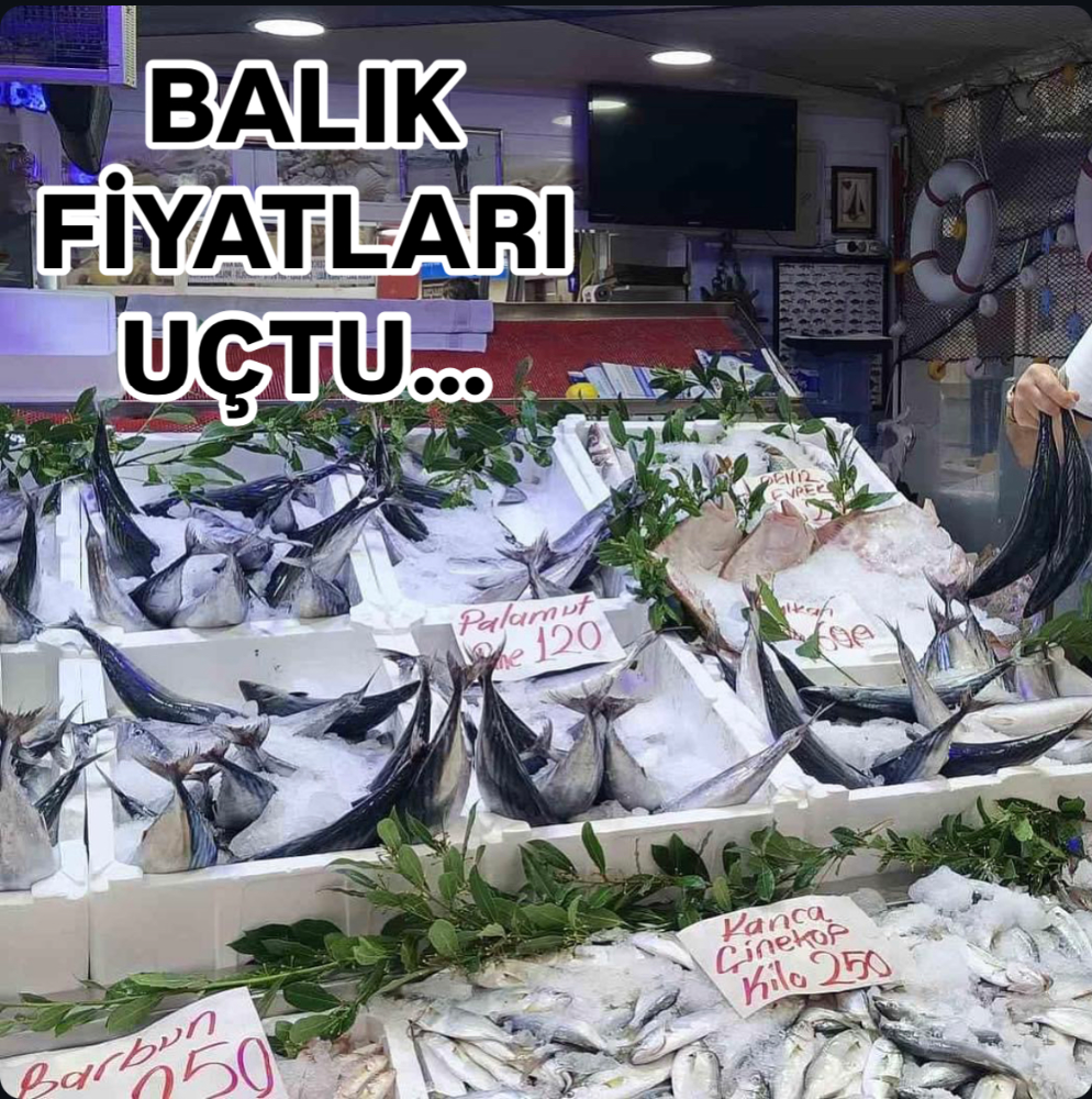 ORDU’DA BALIK FİYATLARI 